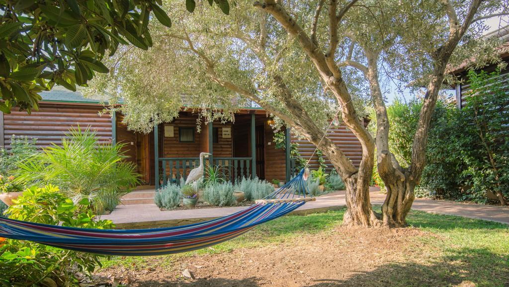Lavender In The Mountains Villa Ramot Naftali Exterior foto